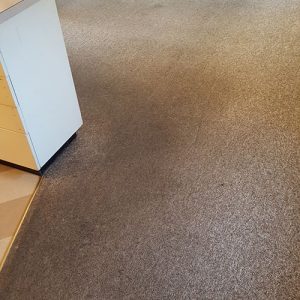 wagga-all-clean-20160719_081054