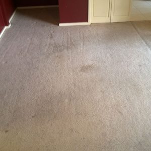 wagga-all-clean-WP_20150304_016